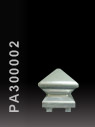 PA300002